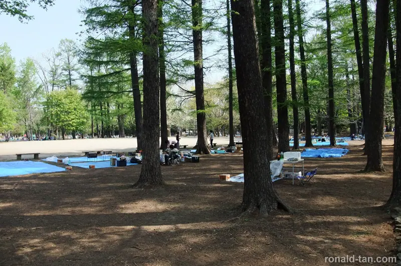A Day in Sapporo 1
