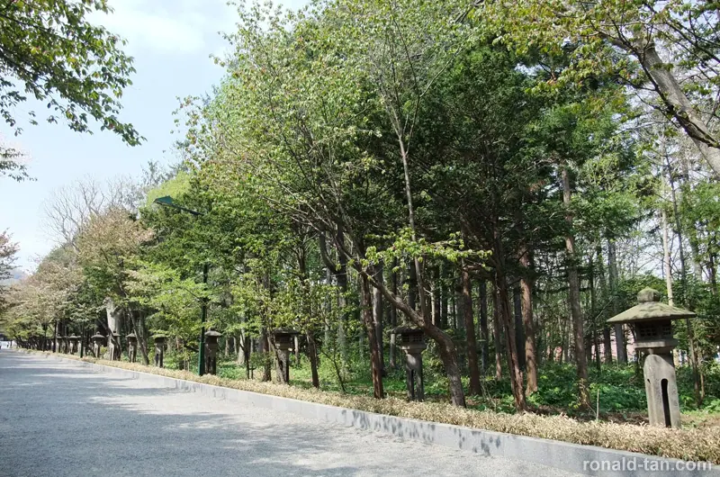 A Day in Sapporo 1