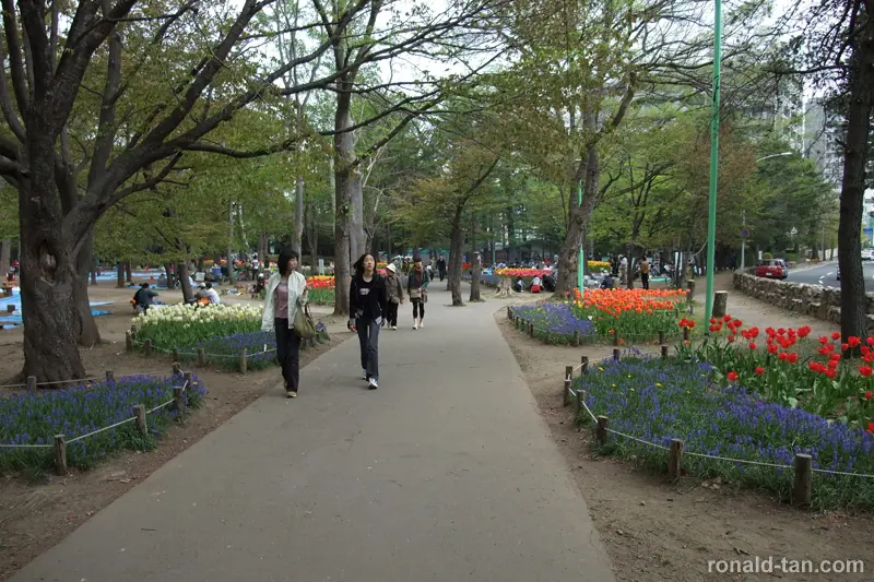 A Day in Sapporo 1