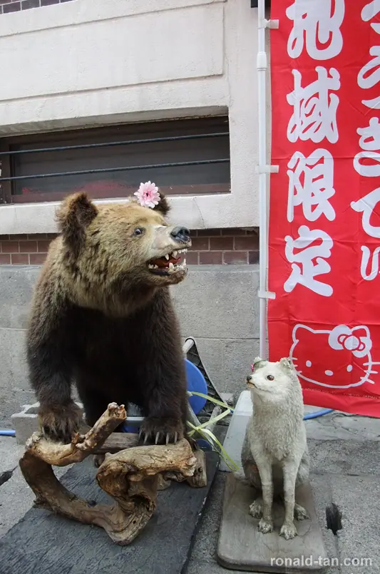 A Day in Otaru & Sapporo
