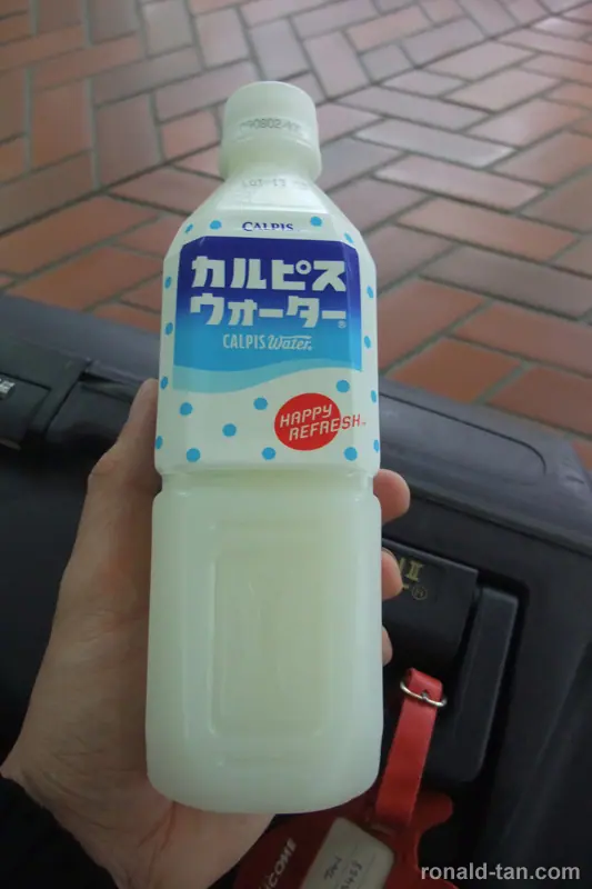 A Day in Sapporo & Lake Toya