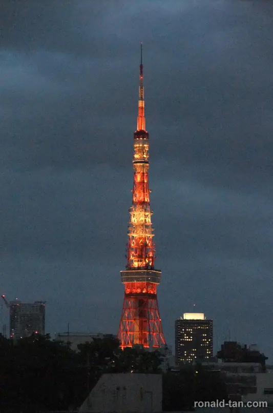 A Day in Tokyo