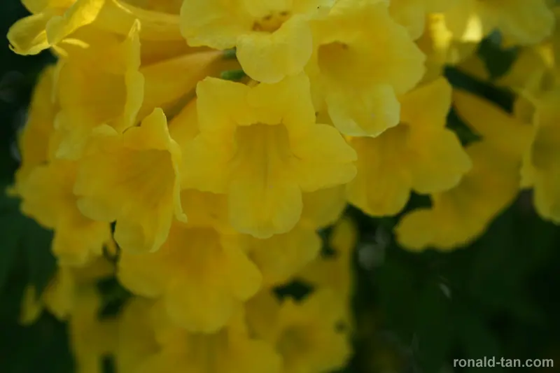 HortPark - The Gardening Hub