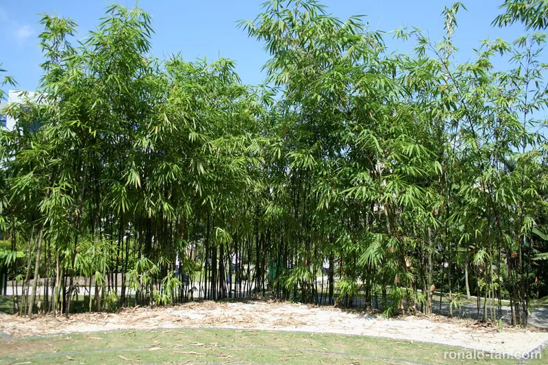 HortPark - The Gardening Hub