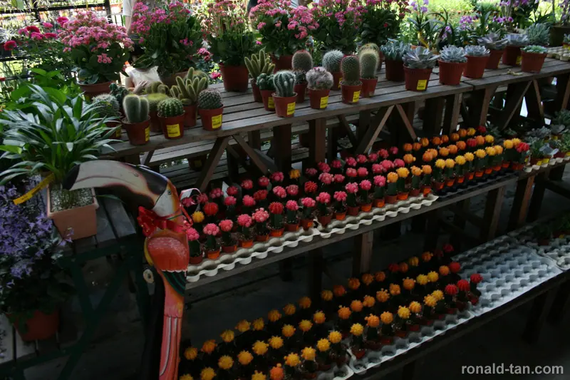 HortPark - The Gardening Hub