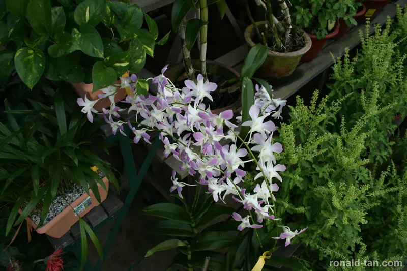 HortPark - The Gardening Hub