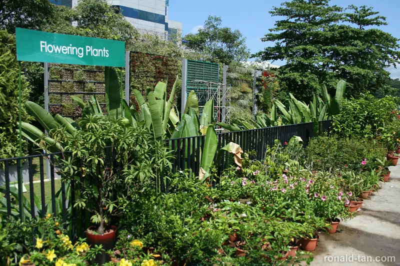 HortPark - The Gardening Hub