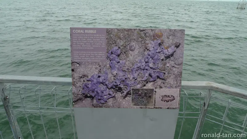 Exploring Pulau Ubin Singapore