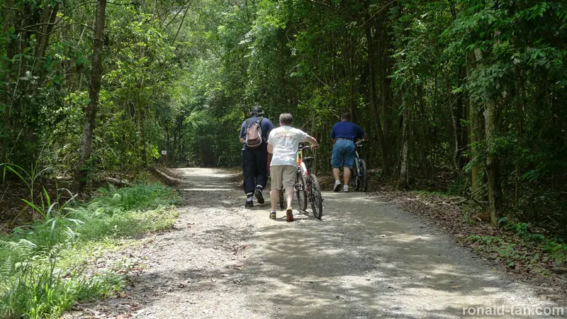 Exploring Pulau Ubin Singapore