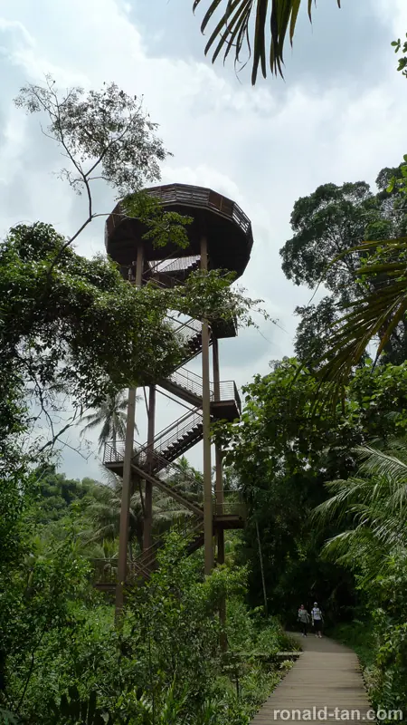 Exploring Pulau Ubin Singapore