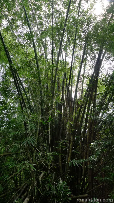 Exploring Pulau Ubin Singapore