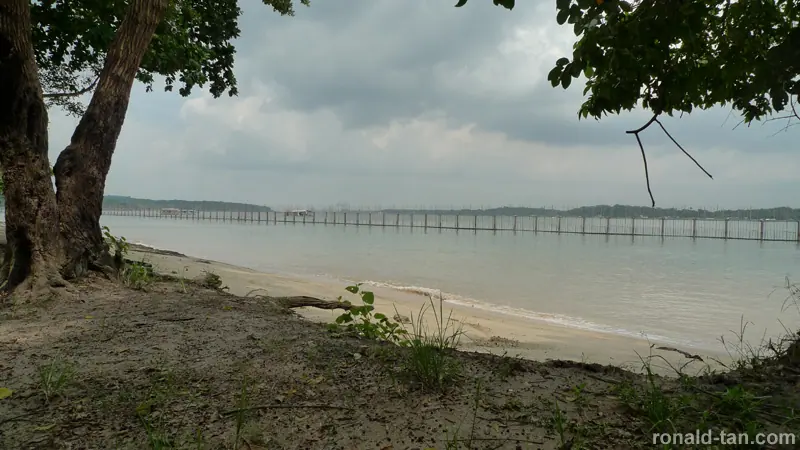 Exploring Pulau Ubin Singapore