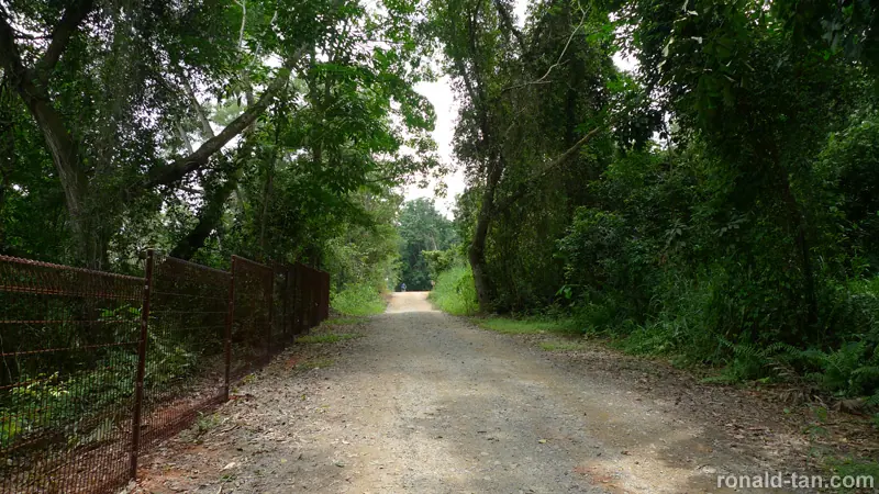 Exploring Pulau Ubin Singapore