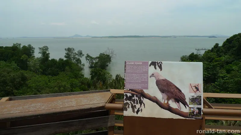 Exploring Pulau Ubin Singapore