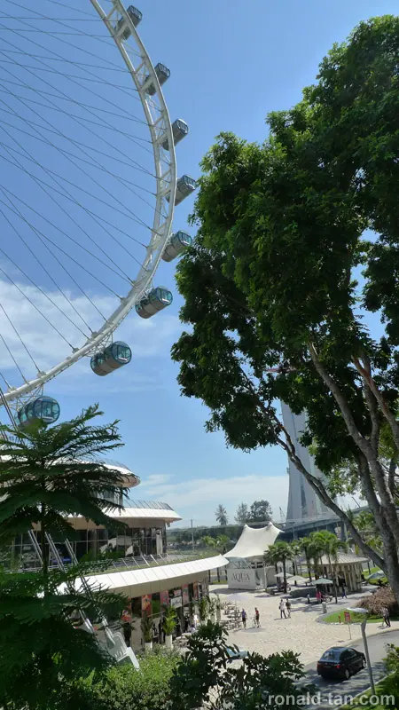 Singapore Flyer