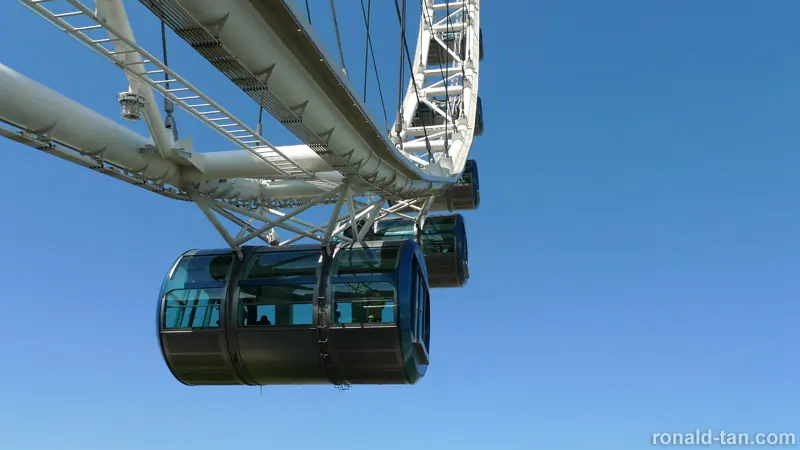 Singapore Flyer