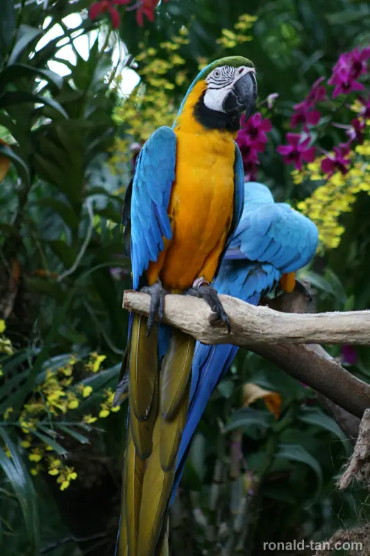 Jurong Birk Park Singapore