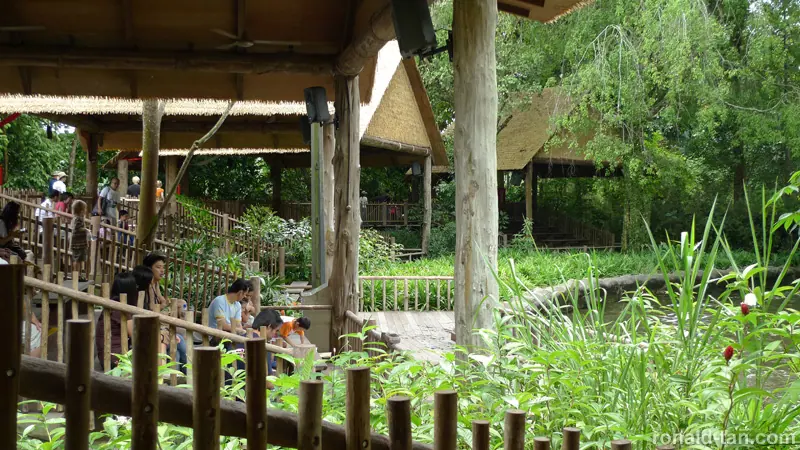 Singapore Zoo