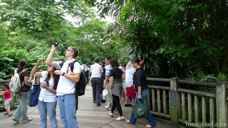 Singapore Zoo