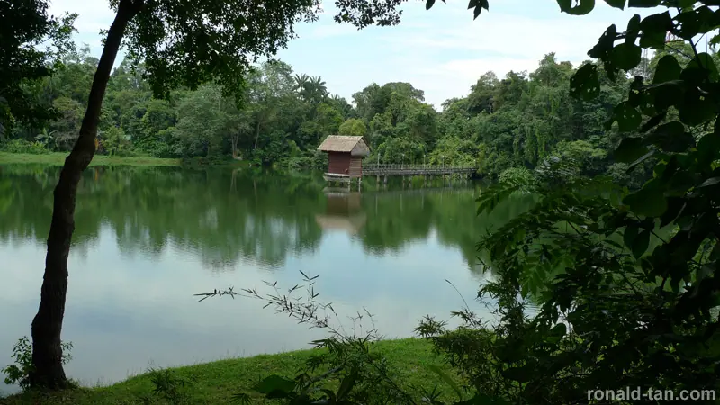 Singapore Zoo