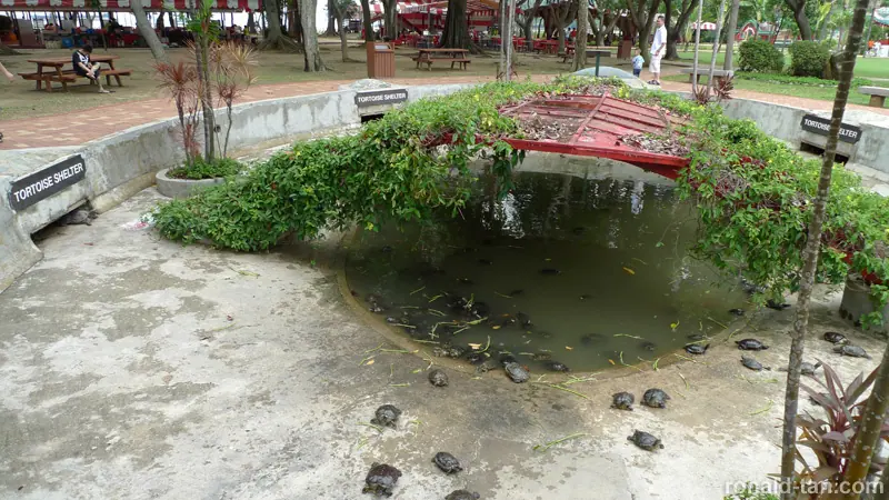 Kusu Island