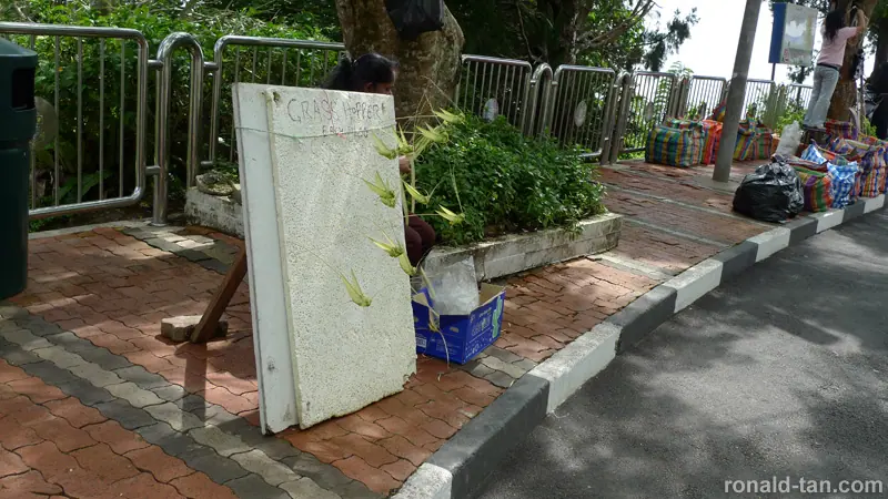 A Day in Penang 2
