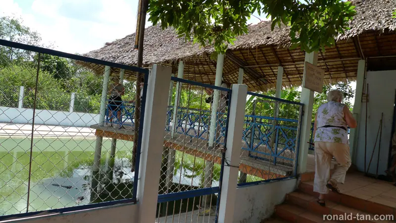 1 Day Cai Be & Vinh Long via the Mekong Delta Tour