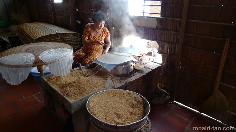 1 Day Cai Be & Vinh Long via the Mekong Delta Tour