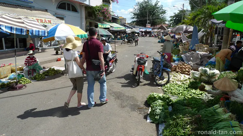 1 Day Cai Be & Vinh Long via the Mekong Delta Tour