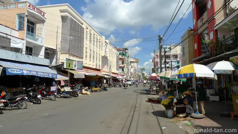 1 Day Cai Be & Vinh Long via the Mekong Delta Tour