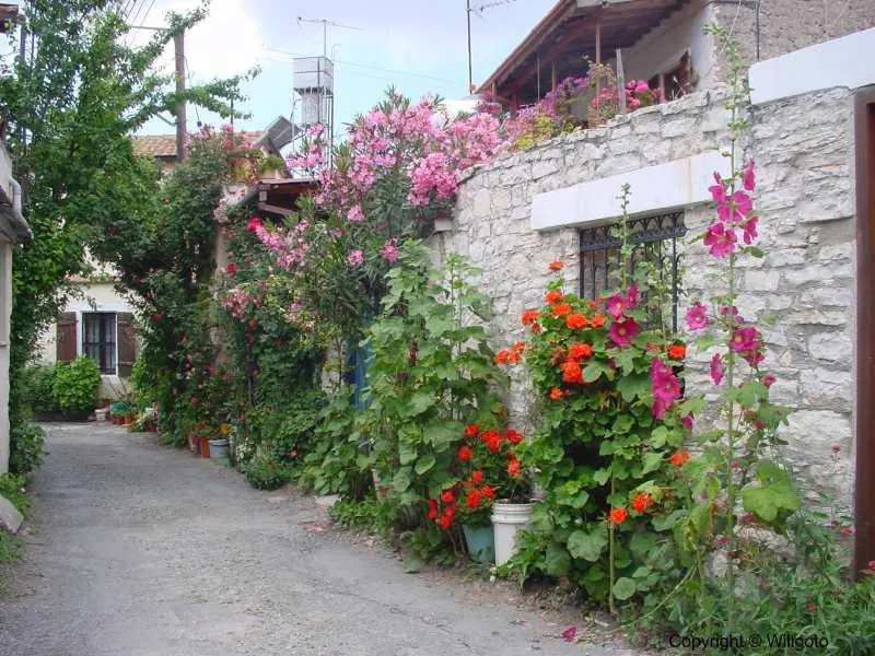 The_village
