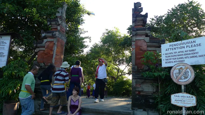 P1040559