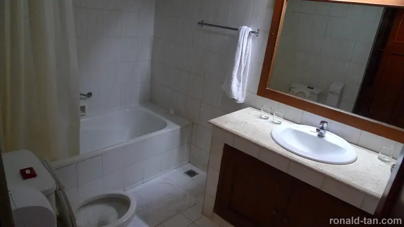 P1050061