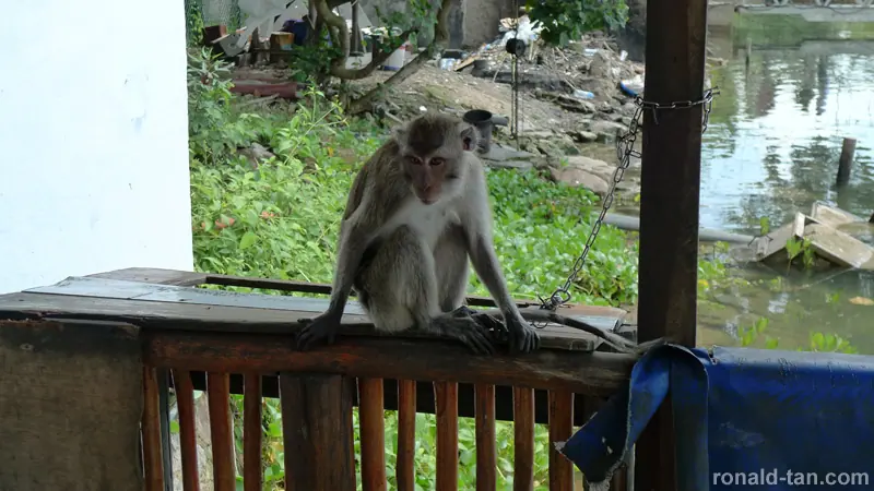 P1050506